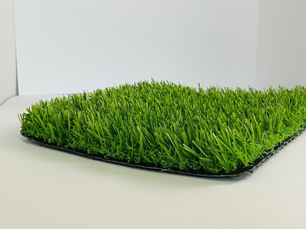 Artificial Grass 1